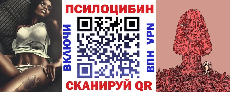 Галлюциногенные грибы прущие грибы  дарк нет как зайти  OMG зеркало  Томилино  что такое  