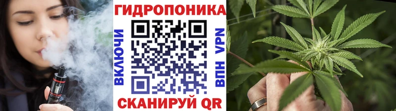 Бошки марихуана White Widow  Томилино 